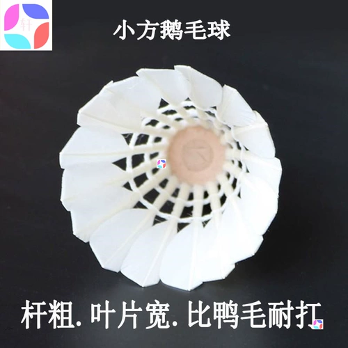 Барминтон в помещении и на открытом воздухе бадминтон с бадминтоном.