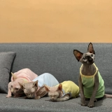 Летом кошачья одежда для кошачьей кошки, не пропустите первое первое выпускное недостаток!Конфеты -Королевая подвеска