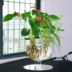 Hoa acrylic thời trang hoa để bàn hoa bình nước văn hóa cây xanh anthurium chậu hoa tre phong phú chậu hoa bình đất - Vase / Bồn hoa & Kệ