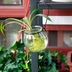 Bí ngô treo chai bí ngô thủy tinh thủy tinh chứa bình thủy tinh - Vase / Bồn hoa & Kệ chậu nhựa trắng Vase / Bồn hoa & Kệ