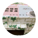 Бездомный кошачий гнездо весенний открытый дождь Простые открытые собачьи гнездо закрыто