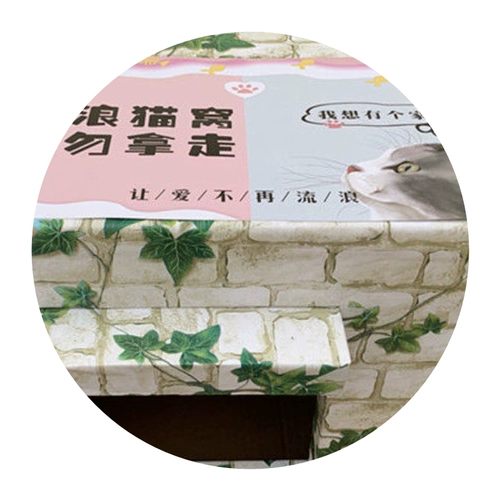 Бездомный кошачий гнездо весенний открытый дождь Простые открытые собачьи гнездо закрыто