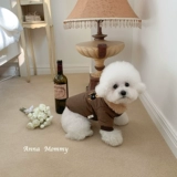 Домашний кошка и собака сгущенным меховым воротником осенью и зимним теплым хлопковым пальто