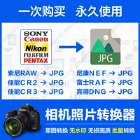 Sony raw arw canon cr2 cr3 в jpg fuji raf benne dng nikon nef conversion jpg формат