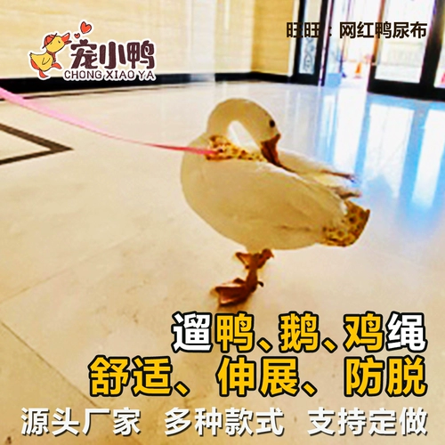 Чистые подгузники из утки красного питомца, подгузники больших гусей, куриные кадки уткля