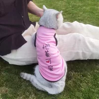 Милый, летний, тонкий