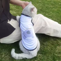 Xiaoying [Summer Thin Model]