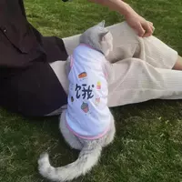 Белый голод 【Летняя тонкая модель】