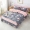 Mùa hè đặc biệt bốn mảnh cotton cotton bed bed bed bed cover 1.2 1.5 1.8 2 m bộ đồ giường - Váy Petti váy giường