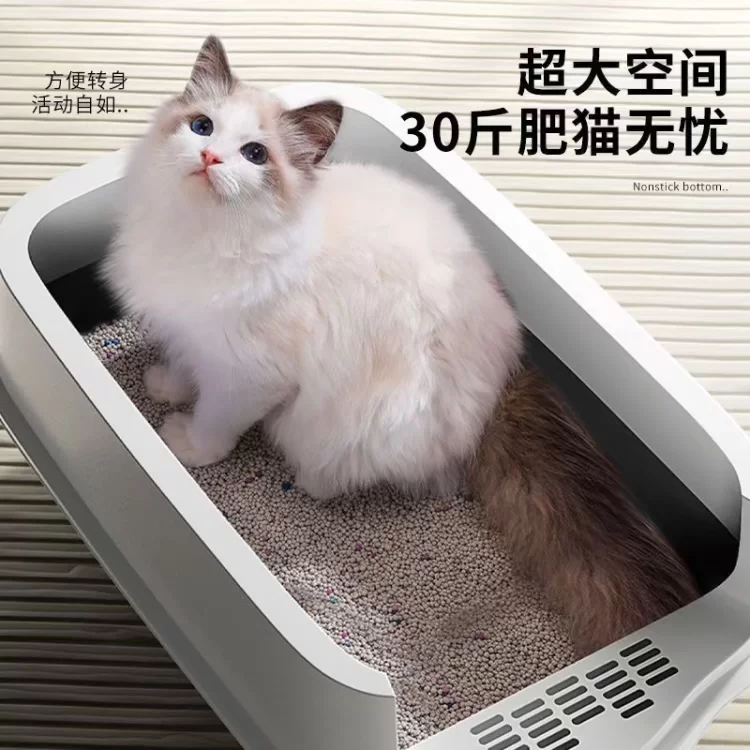 Кошка Кошка Песчаная Ванна Супер Большой Полностью Закрытая Катал Кот Кот Кот Саспот