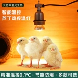 Разрушивание куриного слова голая прорывная коробка, смешанная курица теплый фонарь