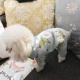 Quần áo Teddy bốn chân quần áo mùa xuân và mùa thu VIP hơn Xiong Bomei chú chó nhỏ chó cưng mèo mùa thu và quần áo mùa đông - Quần áo & phụ kiện thú cưng