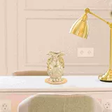 Цветочные горшки в помещении