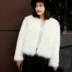 [Đặc biệt hàng ngày] mùa thu và mùa đông Hàn Quốc phiên bản của Haining giả con cáo lông cỏ ngắn coat ladies fur coat Slim Faux Fur