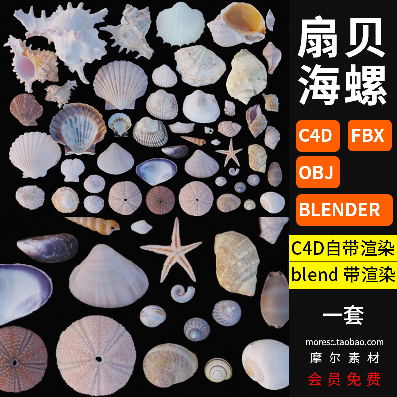 C4D/blender海底生物扇贝海螺贝壳海星海洋生物obj模型素材带贴图-cg男孩