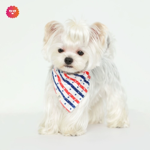 Пиксель -монстр | Нью -Йорк Петт Красный Синий Звезда Полосы чисто хлопчатобумарку рот рот полотенец треугольник треугольник