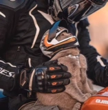 Шлем, маленькая шапка, кот, домашний питомец, кошки и собаки