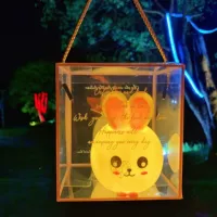 Большой ушной кролик ночной свет+подарочная коробка