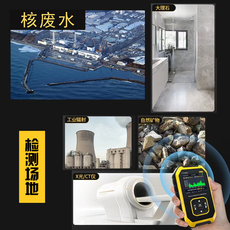 Детектор радиации 核辐射检测仪专业盖革计数器 核污水检测器 海鲜核辐射检测仪