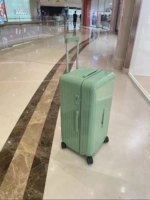 Зеленый бамбук зеленый