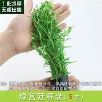 Зеленый дворец 2 стакана (отправьте чашку с тонущей травой)