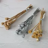 10шт кукурузы