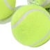 Chính hãng thường xuyên tiêu chuẩn tennis người mới bắt đầu kháng chó đào tạo cắn kháng mol đồ chơi vật nuôi tennis khuyến mãi Quần vợt