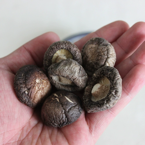 Маленькие грибы шиитаке 500 г бесплатной доставки дома с фунтом северо -восточной горы Чанбай Аояги с сушеной шииты грибы, самостоятельно фермерские