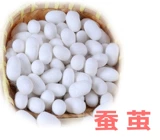 Свежий кокон из шелковика с шелкористыми куколками может производить мотыльки, шелковая шелковая шелковая живая шелковая червя Двойной дом кокон кокон можно накачать в виде образца шелковика