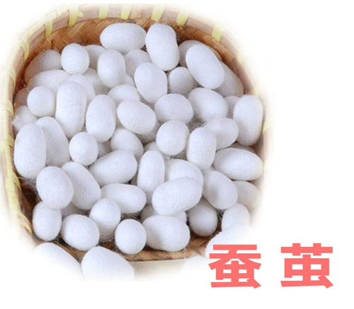 Свежий кокон из шелковика с шелкористыми куколками может производить мотыльки, шелковая шелковая шелковая живая шелковая червя Двойной дом кокон кокон можно накачать в виде образца шелковика