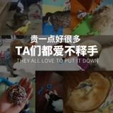 Собака игрушка для зубных щенков домашнее животное Тедди Золотой Мао Лабрадо Большие собаки, чтобы ухаживать за игрушками