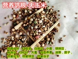 [50斤营养鸽粮无玉米鸽子粮鸟食饲料信鸽观赏鸽肉鸽幼鸽成鸽粮]