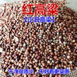2023 Новый красный сорго сорго со сортинг с кожаным сорго рисовые гранулы Полное вино, кормление голубейного зерна, сорго сорго раковины 10 кот