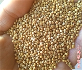 Guzi Northeast Shell Shell Xiaomi Tiger Leather Parrot Feed Huangguzi Bird Grain, птичий голубь, птичья продукта, просот