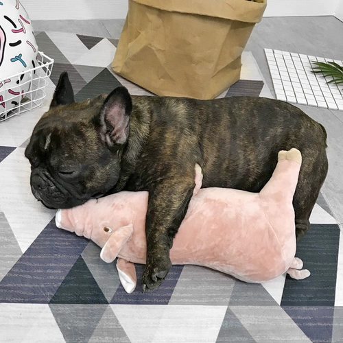 FA DO DO Спящий Партнер Четырехлогеной свинья французская собака Корки Тедди Британская борьба Belle Pet Dog плюшевая игрушка