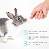 Кроличьи ананасовые таблетки таблетки современные крема современная желудочно -кишечная ручка Ratto Rabbit Burgage MAO профилактика китайской профилактики
