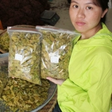 Уборная еда: Большие листья деньги без серы без серы без серы без серы.