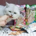 Nhập khẩu vật nuôi mèo ăn nhẹ Inabao tuyệt vời nướng loạt mèo thịt khô trà xanh thành phần khử mùi 	đồ ăn vặt cho mèo con Đồ ăn nhẹ cho mèo