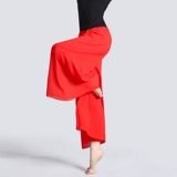 Спортивные штаны, танцующая современная классическая демисезонная юбка, свободный прямой крой