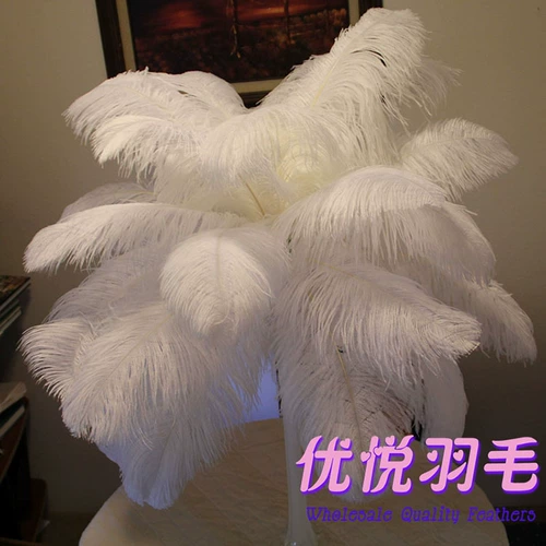 Южная Африка импортированная сеть красного белого страуса -пера Свадебная дорога Ст.