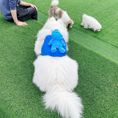 Ранец, рюкзак для выхода на улицу, подходит для подростков, популярно в интернете