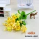 Huang Yingchun цветет пакет