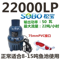 Songbao WP-22000LP