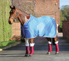 попона 英国shires干爽马衣，排汗马衣