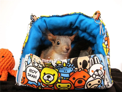 Продукты белки, мой сосед Totoro Squirrels Parrot Products Four Seasons General Midmoring Nest, лето, осень и зима Общая площадка