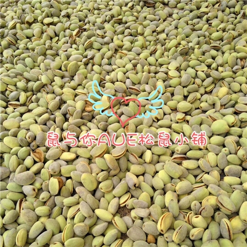 [Крыса и вы] обнаружите новые товары зеленый пибанбанбанм из свежего ореха черный хвост попугай интерактивная белка