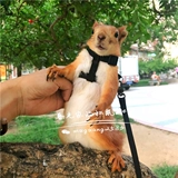 Бесплатная доставка INS Ultrafire Улучшенная эксклюзивная белка черная хвостовая тяговая мышевая веревка мыши может регулировать размер долговечного раскола