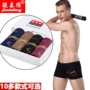 4 món quà đóng hộp đồ lót nam boxer cotton 100% cotton thể thao thoáng khí trẻ trung eo giữa bốn góc phiên bản Hàn Quốc quần lót đẹp