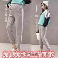 Váy bà bầu xuân hè 2019 cộng với quần legging cotton rộng mút mặc cho bà bầu dạ dày quần nâng quần giản dị 200 kg - Phụ nữ mang thai quần / quần bụng quần thun bầu