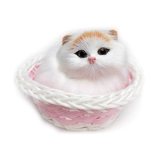 Реалистичная маленькая кукла, кот